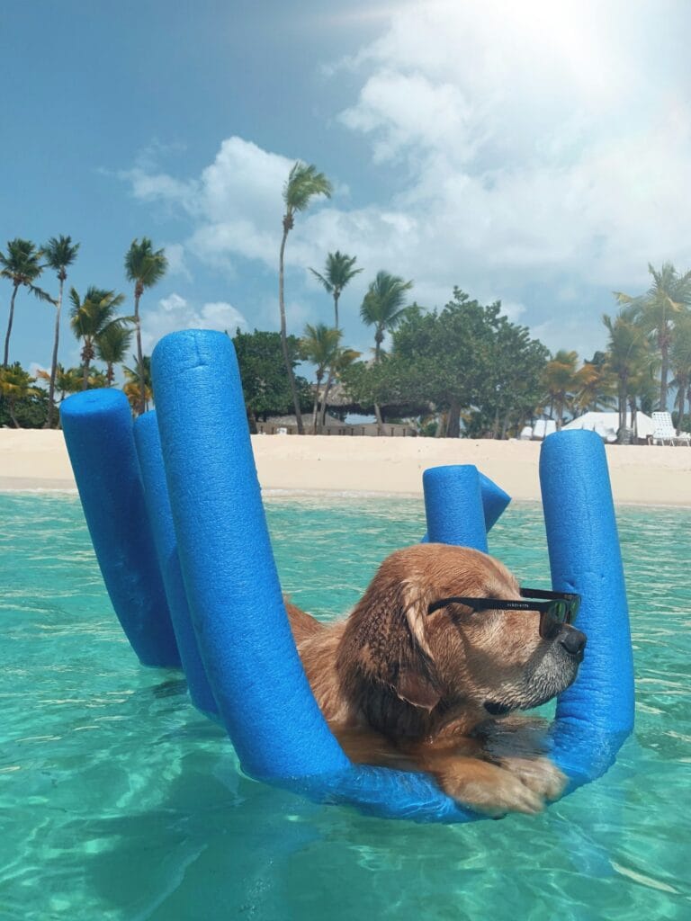 The image shows a relaxed dog floating in clear turquoise water using blue pool noodles for support. The dog is wearing black sunglasses, giving it a laid-back, cool appearance as it enjoys the sunny day. In the background, there is a pristine white sandy beach lined with tall palm trees swaying in the breeze under a partly cloudy sky. The scene exudes a tropical, carefree vibe, with the dog perfectly embodying relaxation.