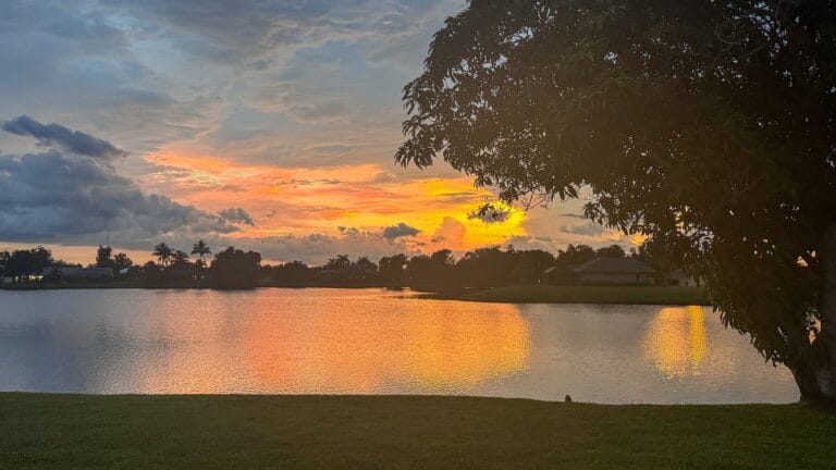 A peaceful sunset over a calm lake, with vibrant shades of orange, pink, and yellow illuminating the sky. Dark clouds hang in the distance, contrasting with the bright horizon. A large tree with dense foliage frames the right side of the image, and the lake's surface reflects the colors of the sky. In the background, silhouettes of houses and palm trees line the shore, creating a serene and picturesque scene.