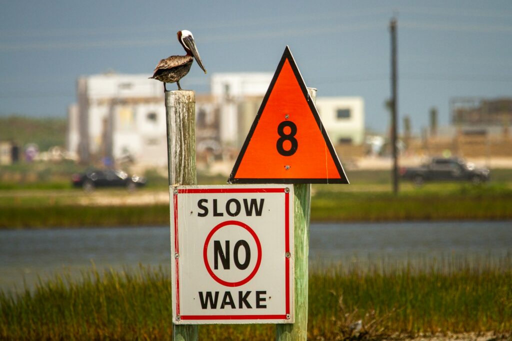 A 'No Wake' sign on a post by the water, indicating a slow-speed zone for boats. Above the sign is an orange triangle marker with the number 8, typically used for navigational purposes. A brown pelican is perched on top of the post. In the background, there is a blurred view of a shoreline with buildings and vehicles.